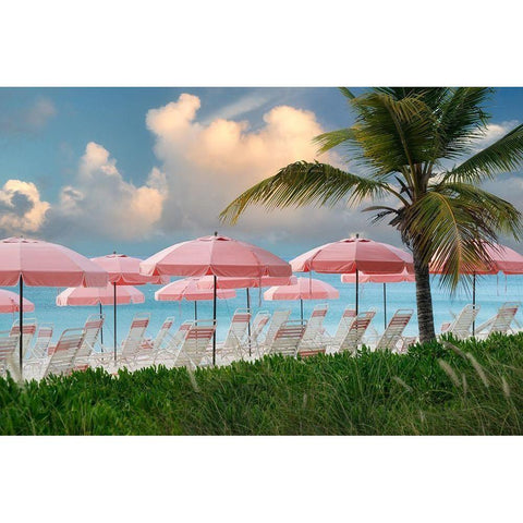 Pink Umbrella Black Modern Wood Framed Art Print with Double Matting by Frates, Dennis