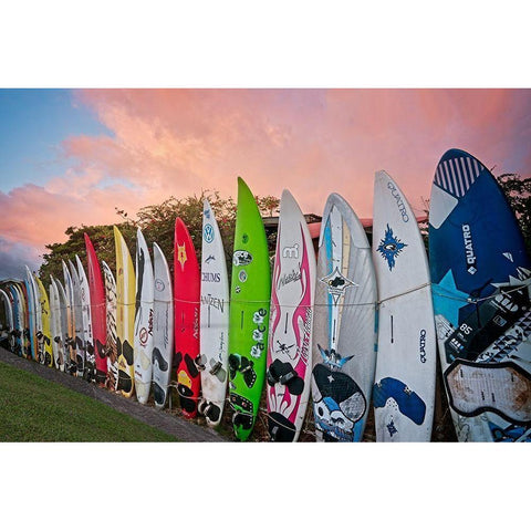 Surf Time Black Modern Wood Framed Art Print with Double Matting by Frates, Dennis