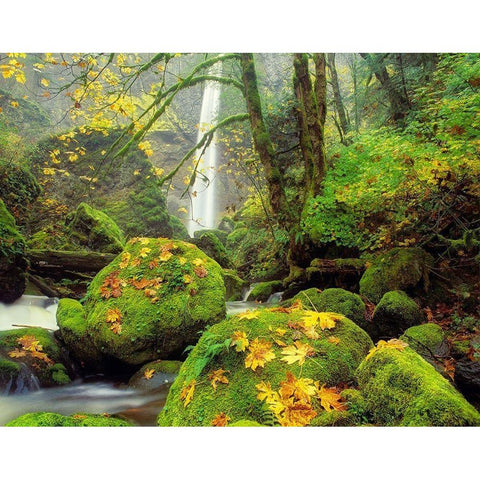 Green Heaven White Modern Wood Framed Art Print by Frates, Dennis