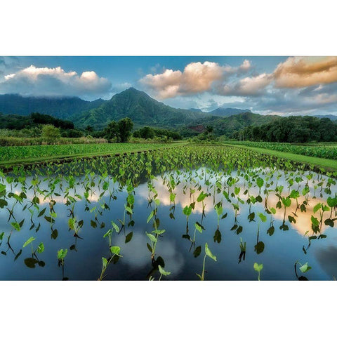 Emerald Landscape Gold Ornate Wood Framed Art Print with Double Matting by Frates, Dennis