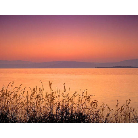 Golden Hour White Modern Wood Framed Art Print by Frates, Dennis