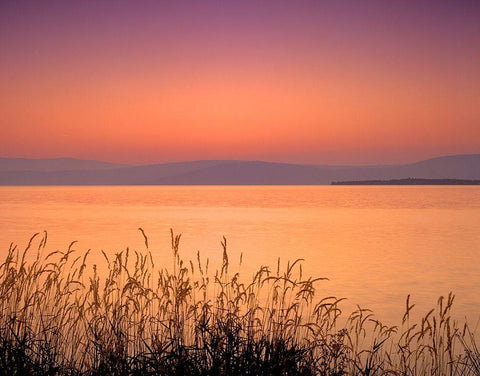 Golden Hour Black Ornate Wood Framed Art Print with Double Matting by Frates, Dennis