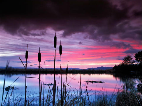 Purple Skies White Modern Wood Framed Art Print with Double Matting by Frates, Dennis