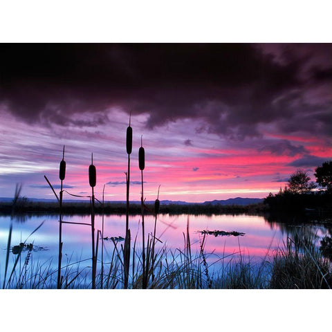 Purple Skies White Modern Wood Framed Art Print by Frates, Dennis