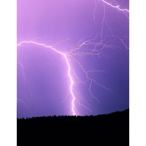 Lightning II Black Modern Wood Framed Art Print by Frates, Dennis