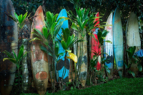 Line Up Black Ornate Wood Framed Art Print with Double Matting by Frates, Dennis