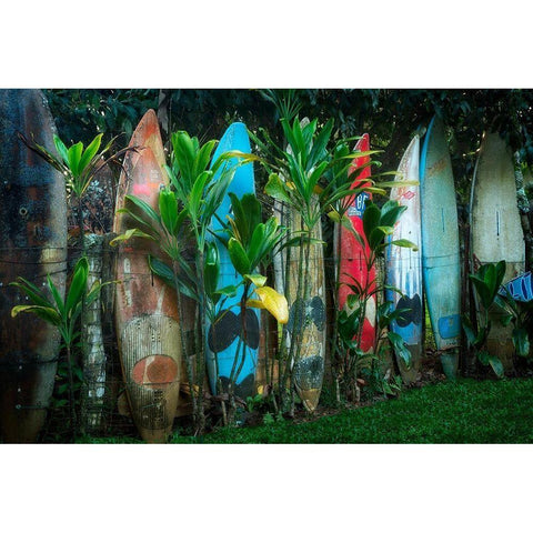 Line Up Black Modern Wood Framed Art Print by Frates, Dennis