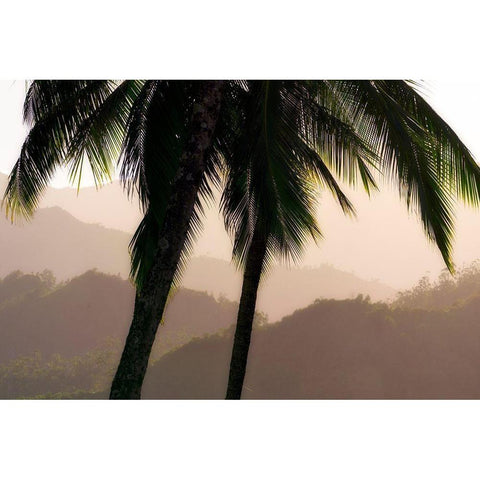 Misty Palms Gold Ornate Wood Framed Art Print with Double Matting by Frates, Dennis