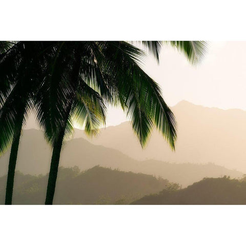 Misty Palms III Gold Ornate Wood Framed Art Print with Double Matting by Frates, Dennis