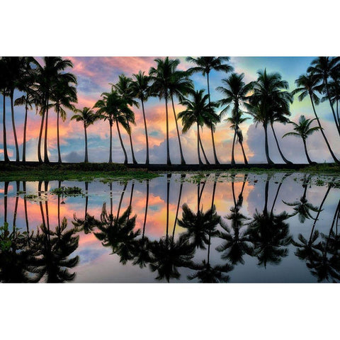 Palm Reflections White Modern Wood Framed Art Print by Frates, Dennis