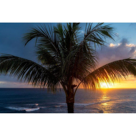 Palm Tree Sunset White Modern Wood Framed Art Print by Frates, Dennis