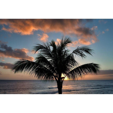 Palm Tree Sunset II Gold Ornate Wood Framed Art Print with Double Matting by Frates, Dennis
