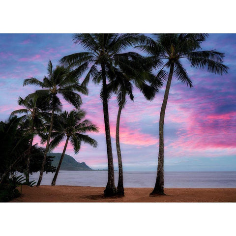 Pink Clouds White Modern Wood Framed Art Print by Frates, Dennis