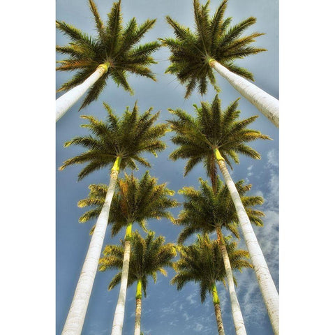 Worms Eye II Black Modern Wood Framed Art Print by Frates, Dennis