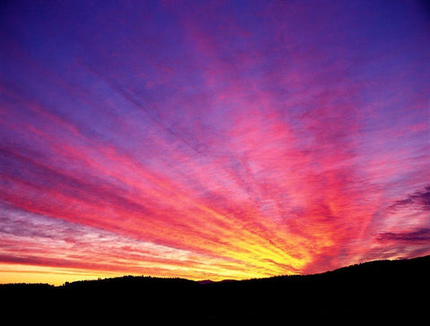 Hyper Color Black Ornate Wood Framed Art Print with Double Matting by Frates, Dennis