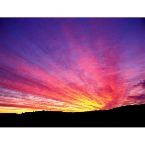 Hyper Color Gold Ornate Wood Framed Art Print with Double Matting by Frates, Dennis