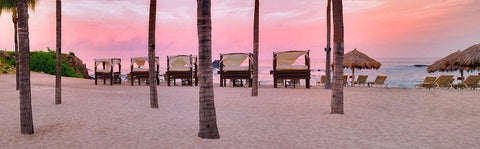 Pink Beach Black Ornate Wood Framed Art Print with Double Matting by Frates, Dennis