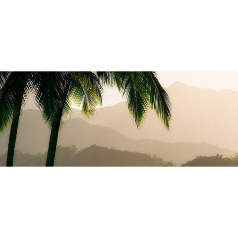 Misty Palms IV White Modern Wood Framed Art Print by Frates, Dennis