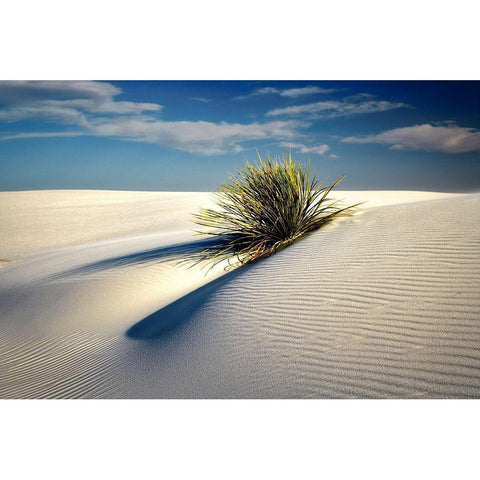 Dune White Modern Wood Framed Art Print by Frates, Dennis