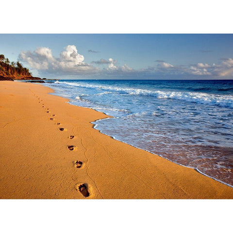 Footprints Gold Ornate Wood Framed Art Print with Double Matting by Frates, Dennis