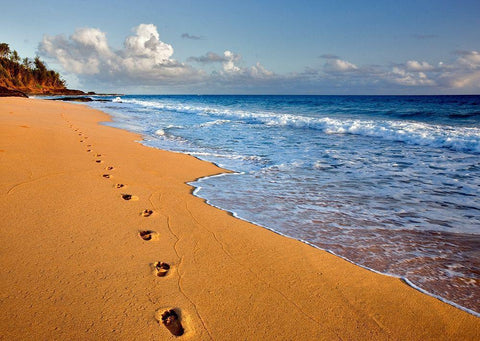 Footprints White Modern Wood Framed Art Print with Double Matting by Frates, Dennis