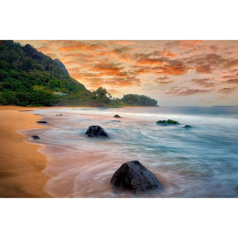 Peachy Keen Gold Ornate Wood Framed Art Print with Double Matting by Frates, Dennis