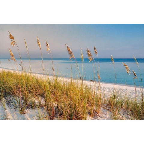 Breezy Black Modern Wood Framed Art Print by Frates, Dennis