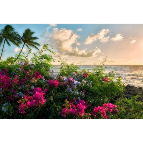 Hot Pink White Modern Wood Framed Art Print by Frates, Dennis