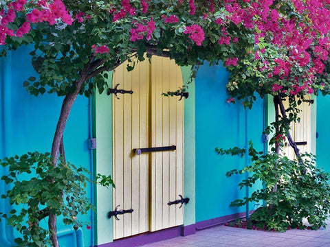 Double Doors White Modern Wood Framed Art Print with Double Matting by Frates, Dennis