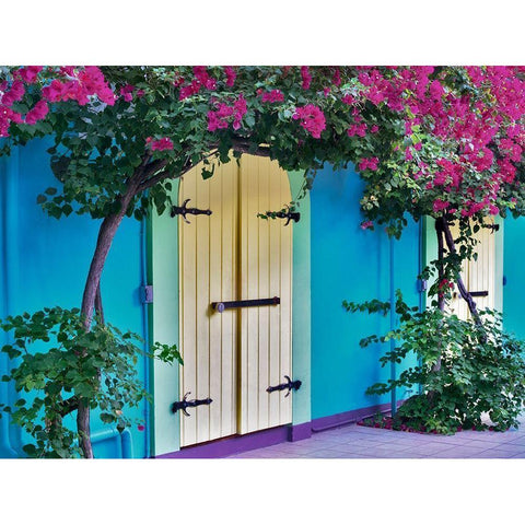 Double Doors Black Modern Wood Framed Art Print by Frates, Dennis