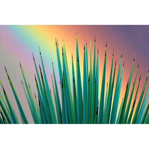 Prism Plant Black Modern Wood Framed Art Print by Frates, Dennis