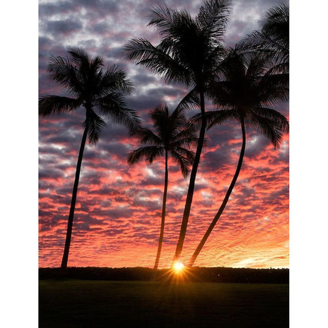 Sunset Silhouette Gold Ornate Wood Framed Art Print with Double Matting by Frates, Dennis