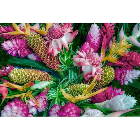 Tropical Floral Black Modern Wood Framed Art Print with Double Matting by Frates, Dennis