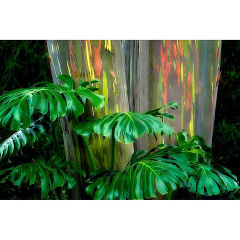 Tropical Leaves Gold Ornate Wood Framed Art Print with Double Matting by Frates, Dennis