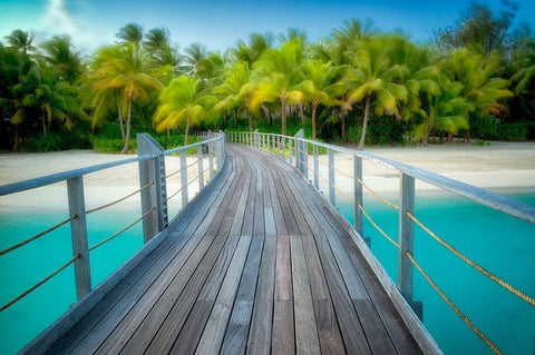 Path to Calm Black Ornate Wood Framed Art Print with Double Matting by Frates, Dennis