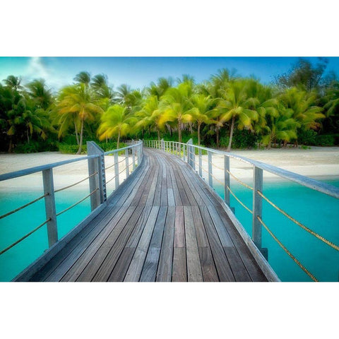 Path to Calm White Modern Wood Framed Art Print by Frates, Dennis