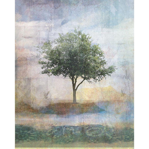 Tree Collage I Black Modern Wood Framed Art Print with Double Matting by JMB Designs