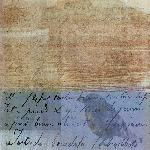 Botanical Bird Gold Ornate Wood Framed Art Print with Double Matting by JMB Designs