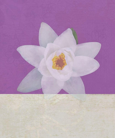 Water Lily White Modern Wood Framed Art Print with Double Matting by JMB Designs