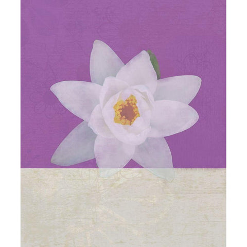 Water Lily White Modern Wood Framed Art Print by JMB Designs