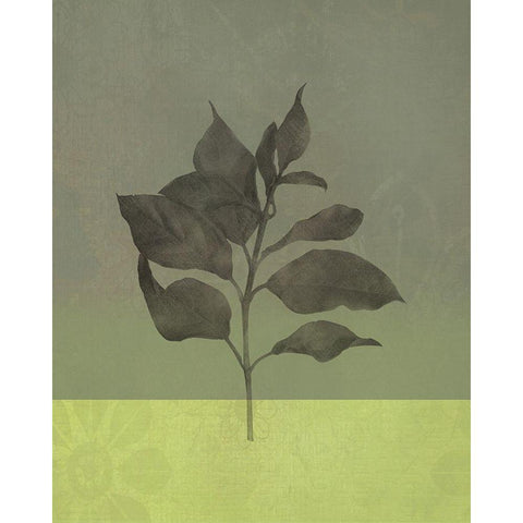 Green Leaves Black Modern Wood Framed Art Print by JMB Designs