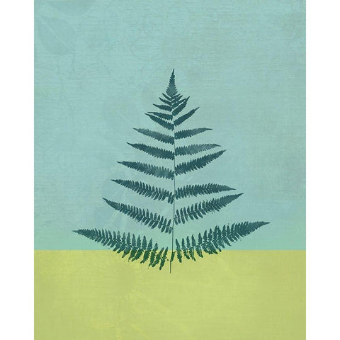 Aqua Fern White Modern Wood Framed Art Print by JMB Designs