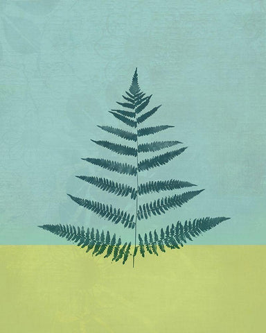 Aqua Fern White Modern Wood Framed Art Print with Double Matting by JMB Designs