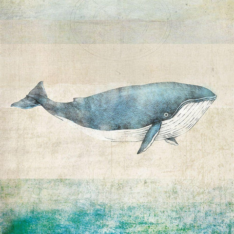 Whale Black Modern Wood Framed Art Print with Double Matting by JMB Designs
