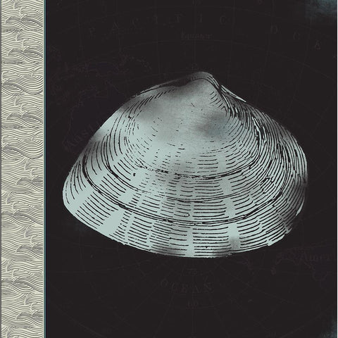 Seashell Gold Ornate Wood Framed Art Print with Double Matting by JMB Designs