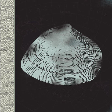 Seashell Black Ornate Wood Framed Art Print with Double Matting by JMB Designs