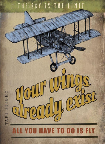 Spread Wings White Modern Wood Framed Art Print with Double Matting by JMB Designs