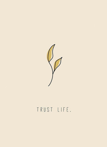 Trust Life White Modern Wood Framed Art Print with Double Matting by JMB Designs