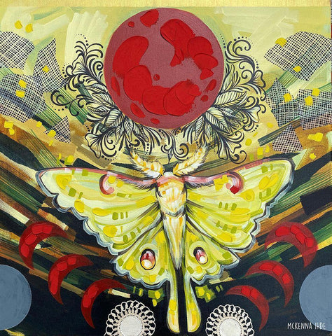 Luna Moth White Modern Wood Framed Art Print with Double Matting by Ihde, McKenna