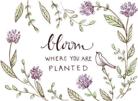 Bloom Where Youre Planted White Modern Wood Framed Art Print with Double Matting by Tyndall, Elizabeth